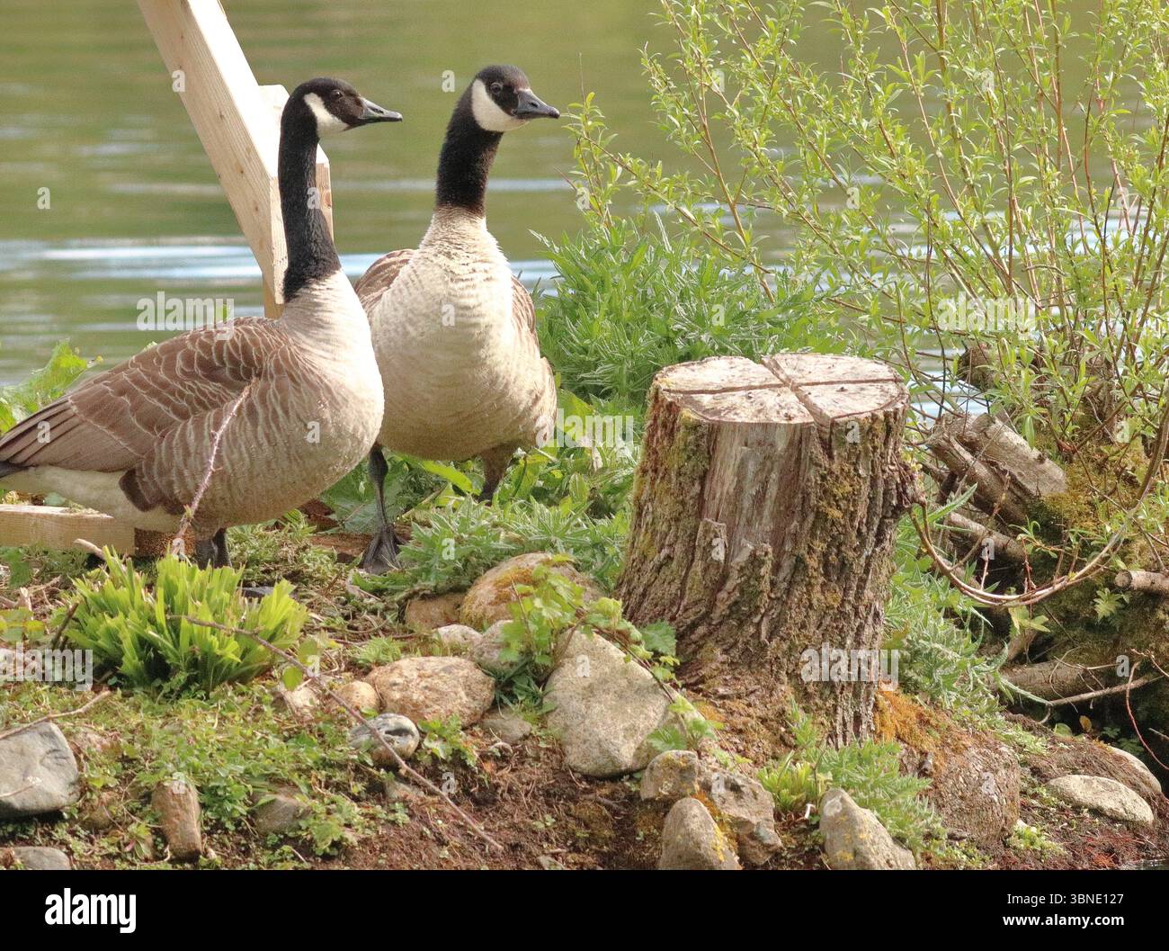 Filham lake hi-res stock photography and images - Alamy