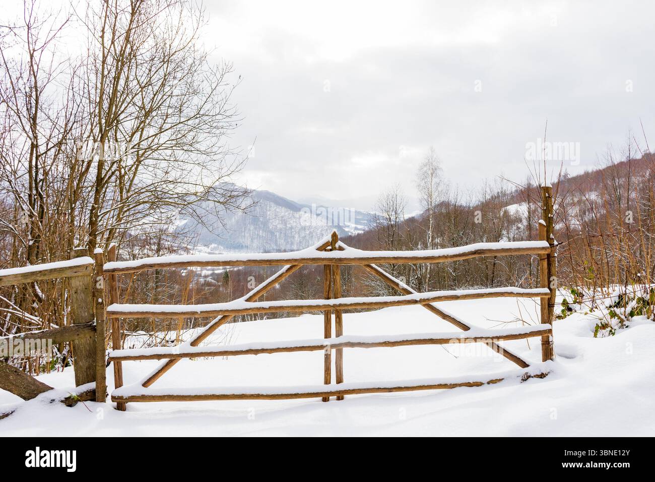 countryside landscape in winter. rustic security. wooden fence through snow covered hill. deciduous forest Stock Photo