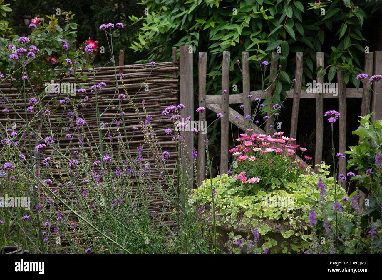 Rustic fence hi-res stock photography and images - Alamy