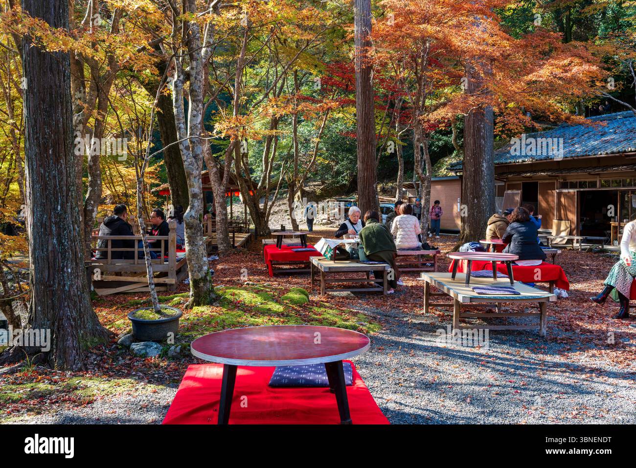 Vibrant autumn maple foliage, tourists rest at an outdoor Japanese ...
