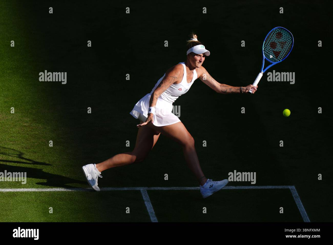 The Broader Implications for Tennis The Broader Implications for Tennis