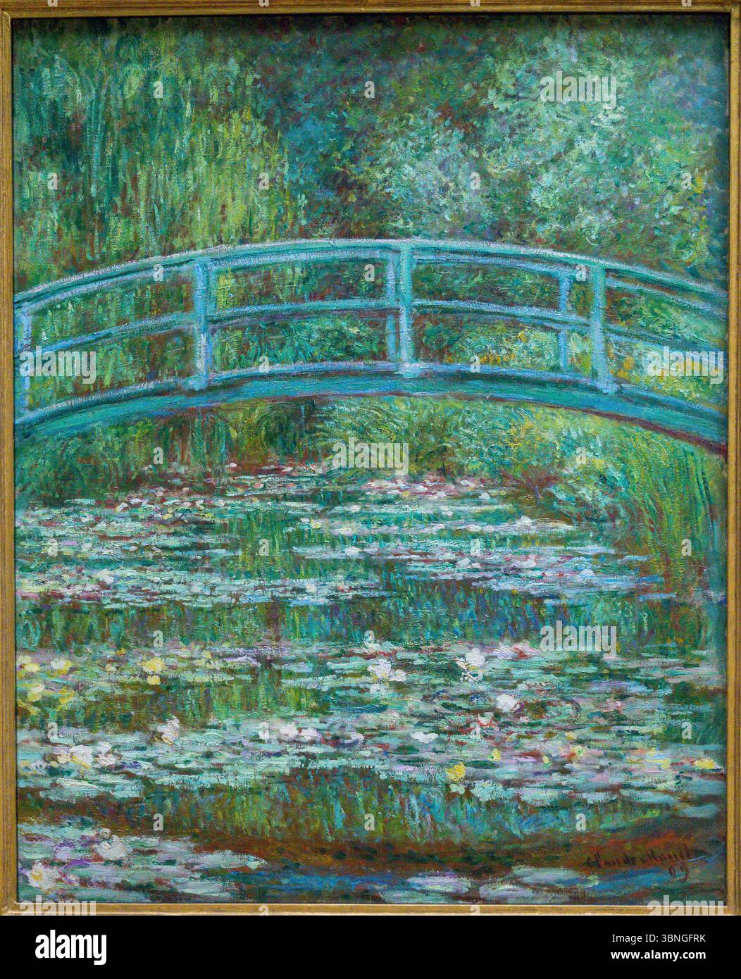 Bridge over pond water lilies hi-res stock photography and