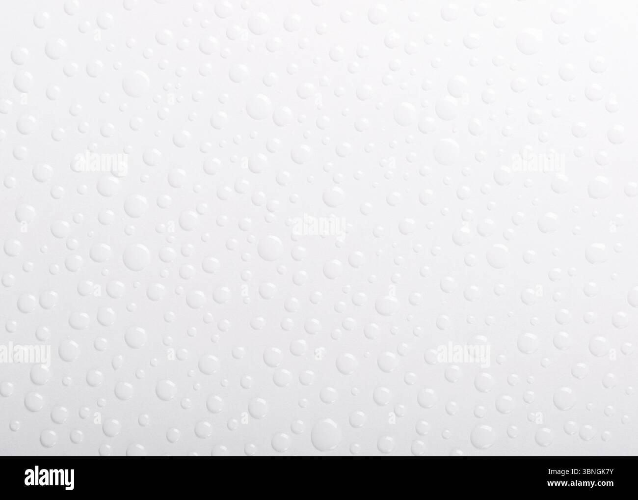 Close up water drops on white background. Top view. Stock Photo