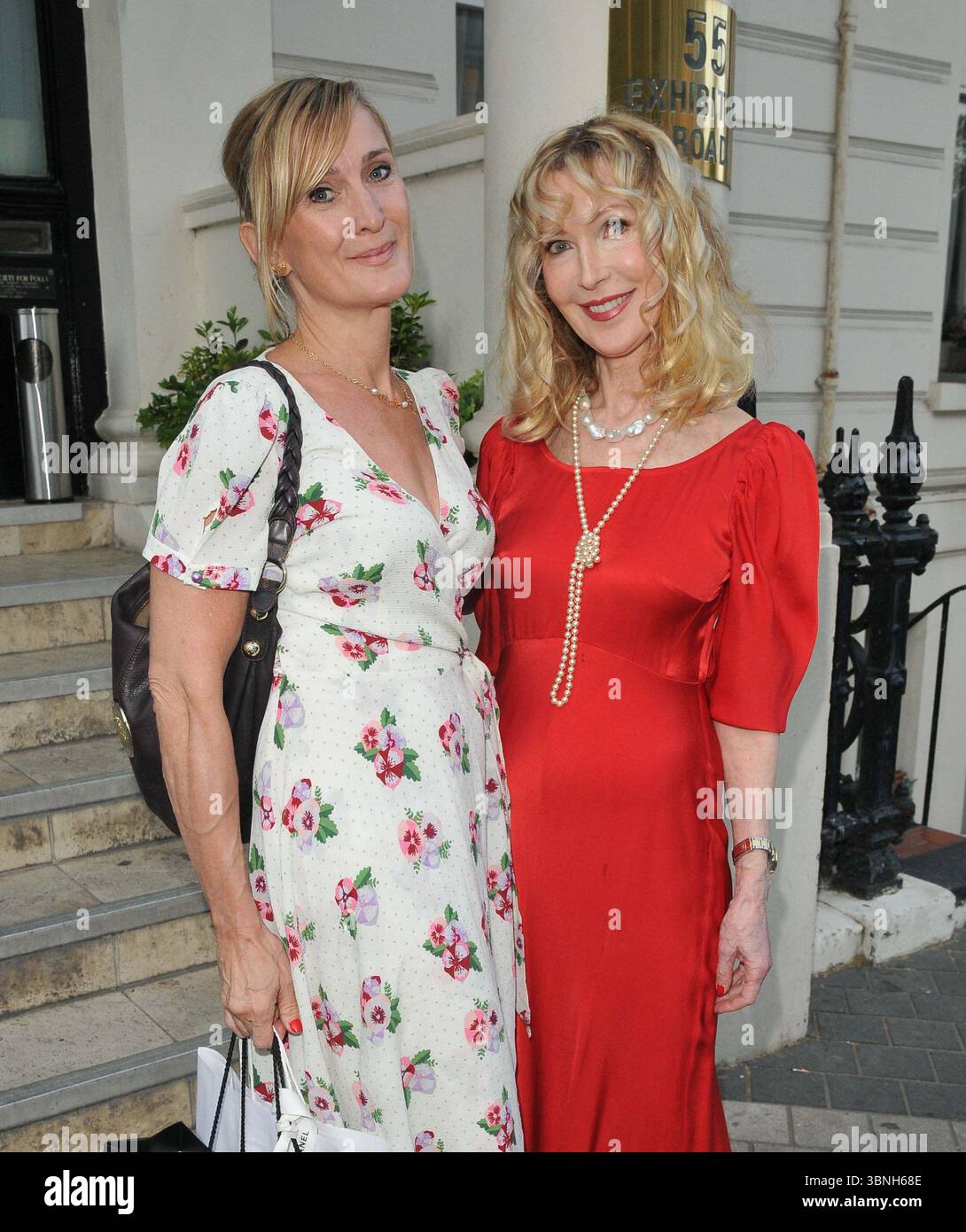 Lee Sharrock and Basia Briggs at the Alexander Newley's 'Divining the Human' book launch party, Polish Hearth Club, Exhibition Road, on Thursday 08 Ju Stock Photo