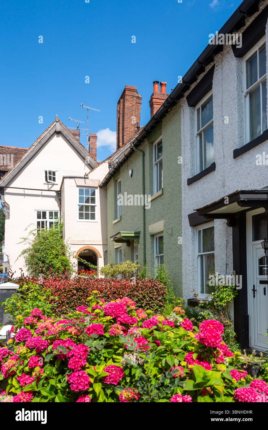 Colourful front garden with houses, UK, 2025 Stock Photo