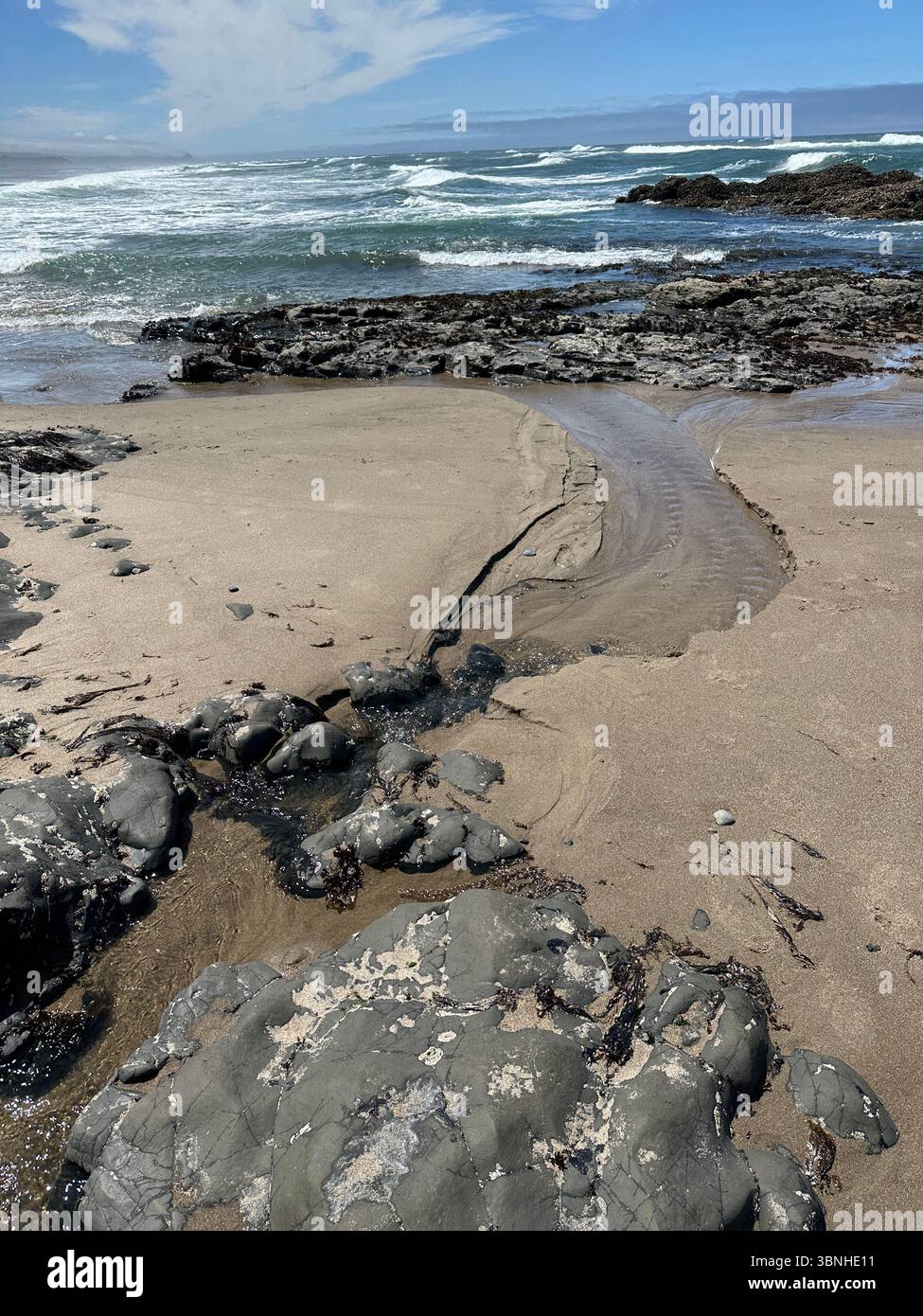 Nelscott Beach during a low tide on a summer day in Lincoln City, Oregon. - Smartphone Captured Stock Image