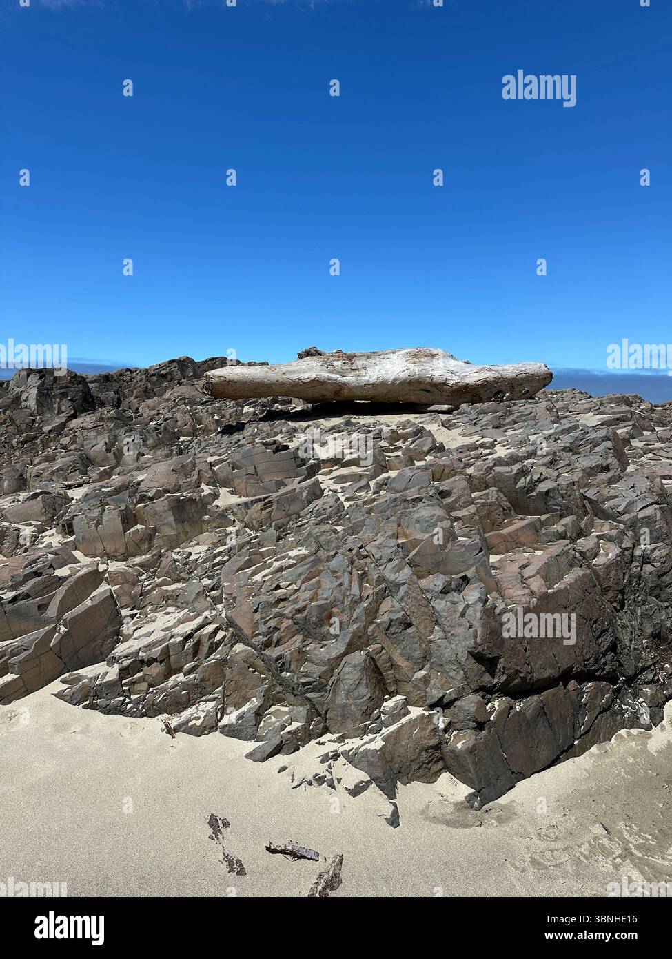 Driftwood washed up on a rocky ledge on Nelscott Beach at low tide on a summer day in Lincoln City, Oregon. - Smartphone Captured Stock Image