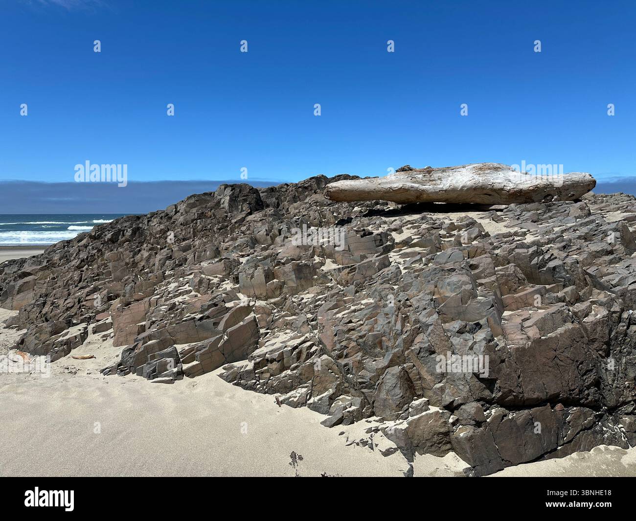 Driftwood washed up on a rocky ledge on Nelscott Beach at low tide on a summer day in Lincoln City, Oregon. - Smartphone Captured Stock Image