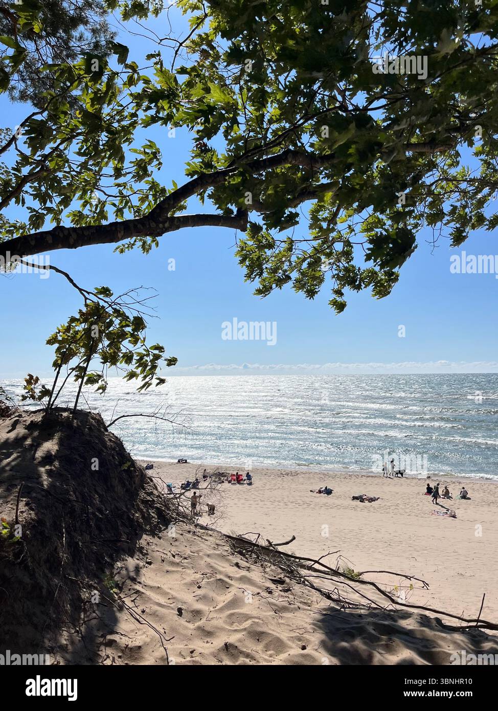 Saugatuck dunes hi-res stock photography and images - Alamy, image size:974x1390