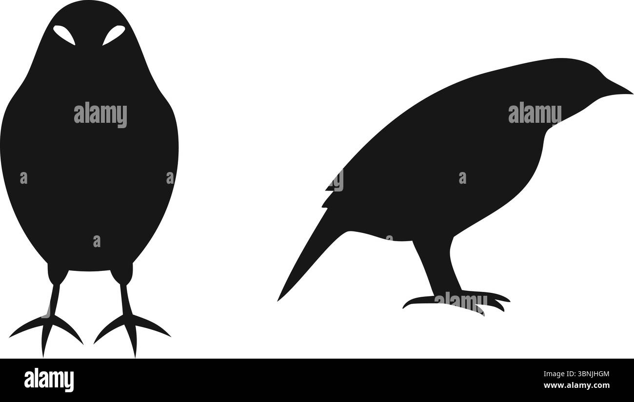 Flying Bird Silhouettes Vector Illustration | Group of Black Wild Birds in Flight on White Background for Nature Graphics and Art Design Projects Stock Vector