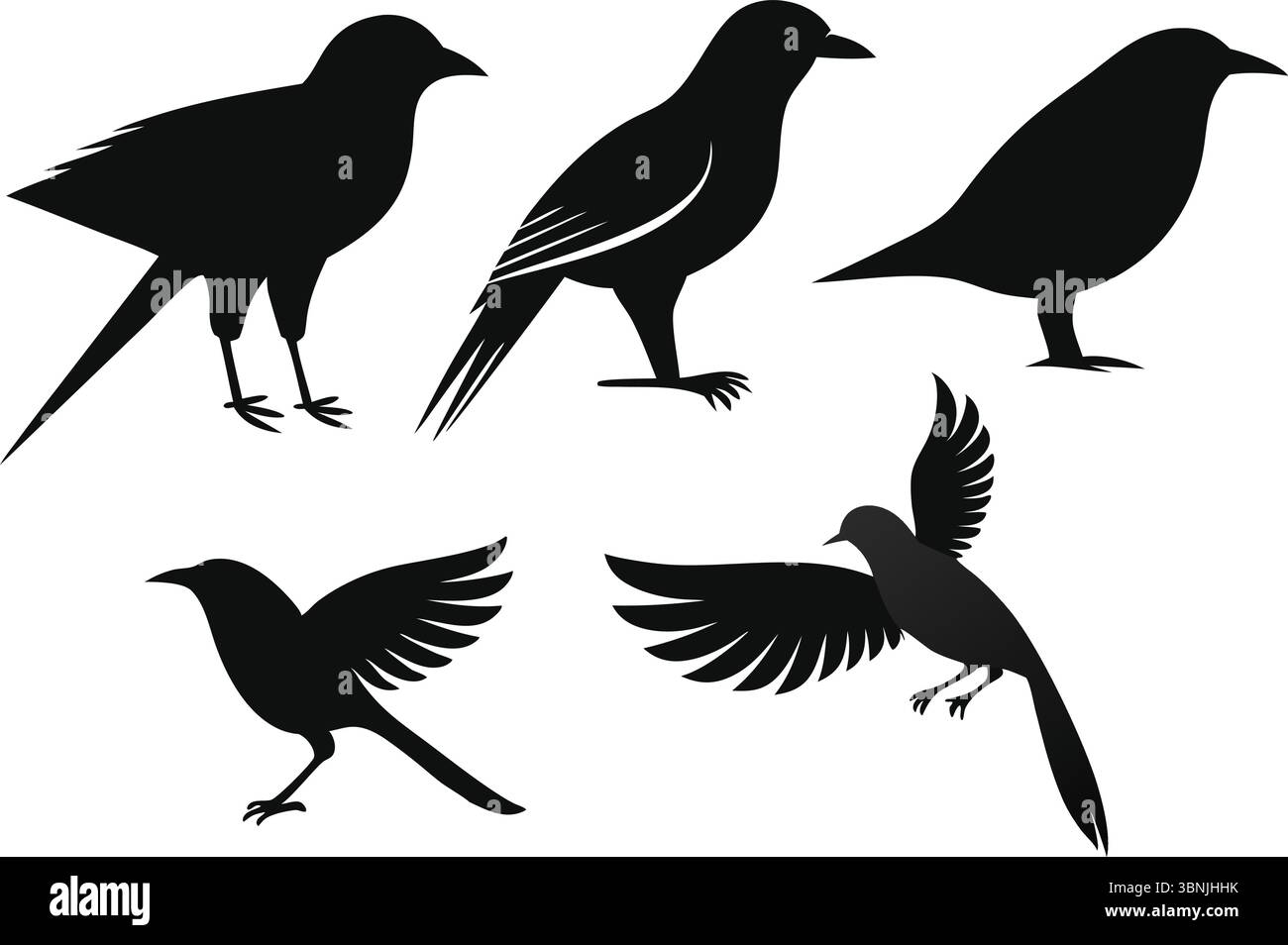 Flying Bird Silhouettes Vector Illustration | Group of Black Wild Birds in Flight on White Background for Nature Graphics and Art Design Projects Stock Vector