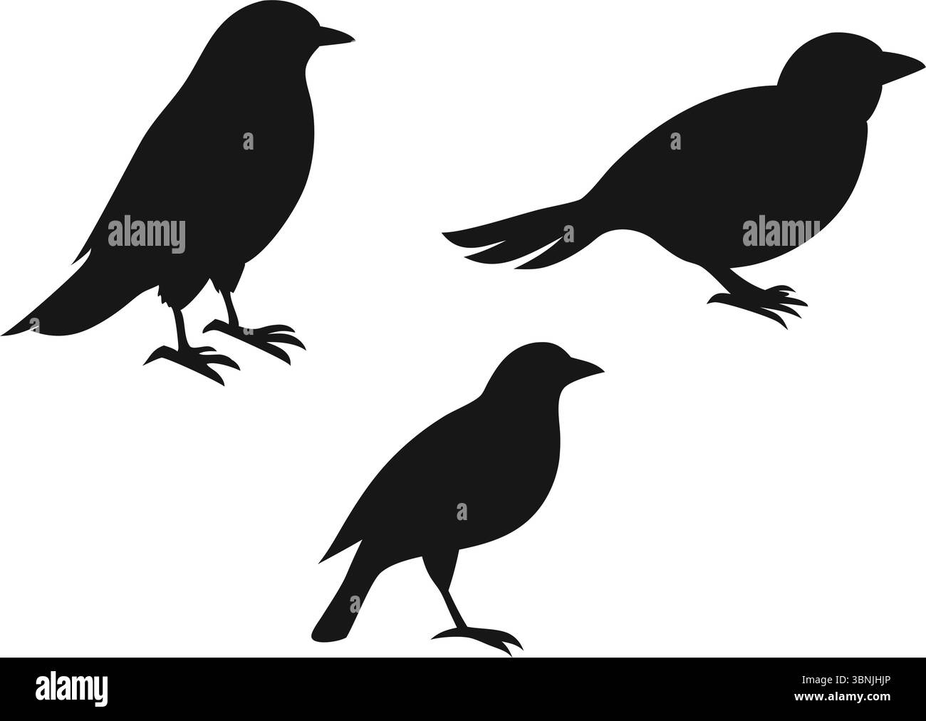Flying Bird Silhouettes Vector Illustration | Group of Black Wild Birds in Flight on White Background for Nature Graphics and Art Design Projects Stock Vector