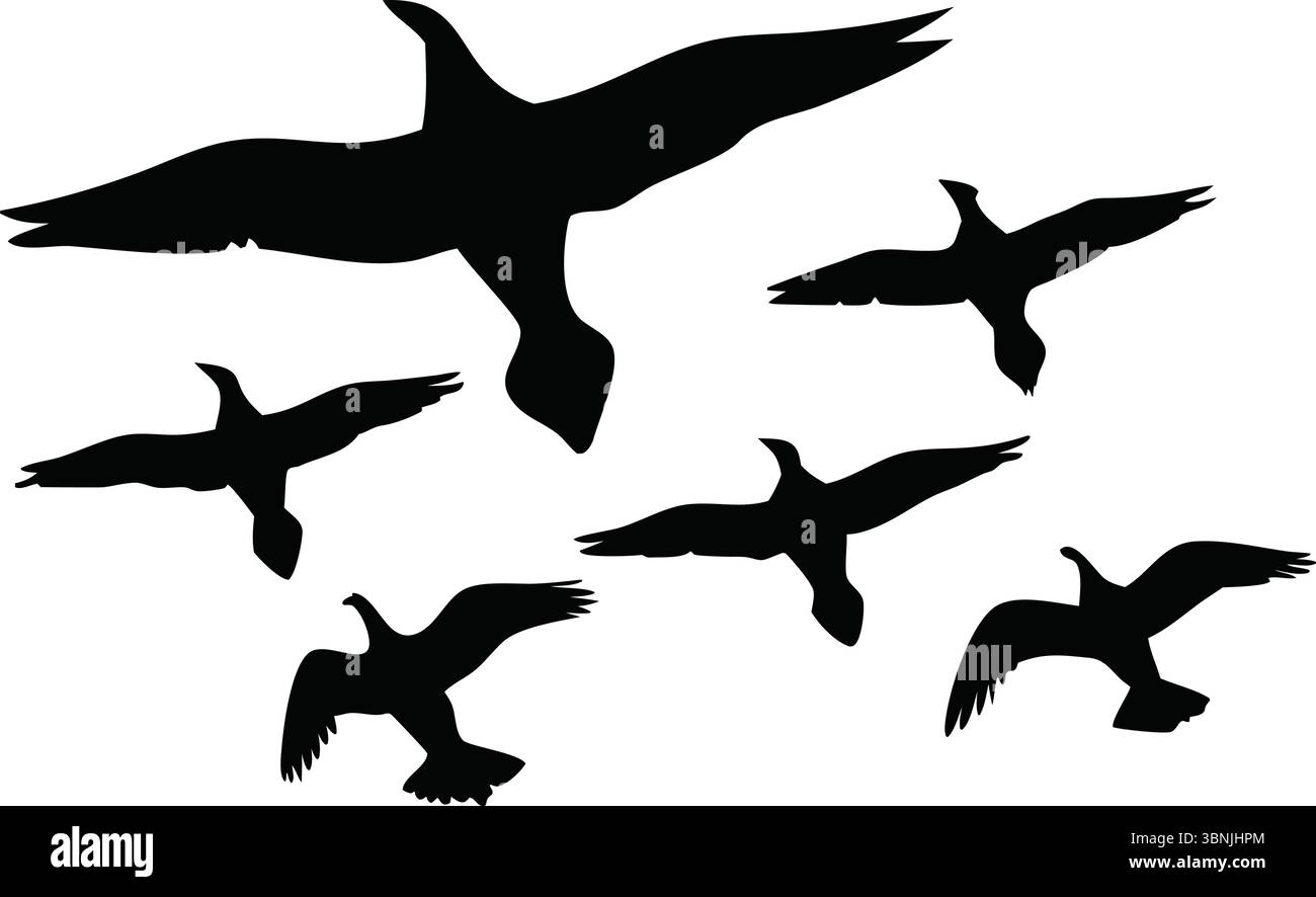 Flying Bird Silhouettes Vector Illustration | Group of Black Wild Birds in Flight on White Background for Nature Graphics and Art Design Projects Stock Vector