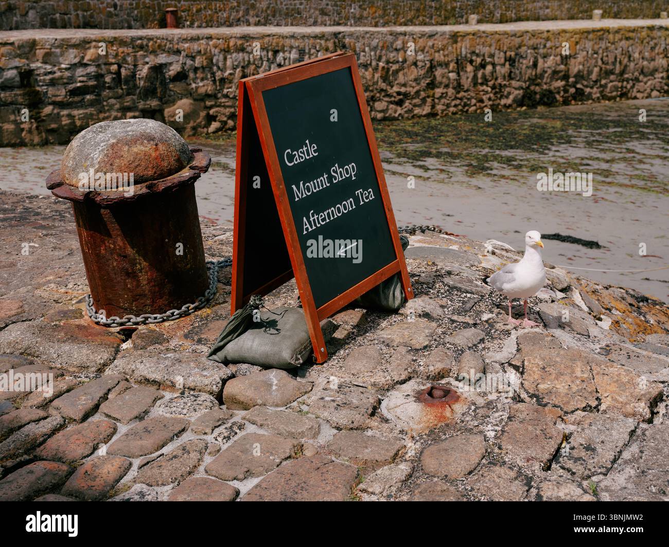 Castle, shop, afternoon tea sign and seagull in St Michaels MOunt Cornwall England UK Stock Photo