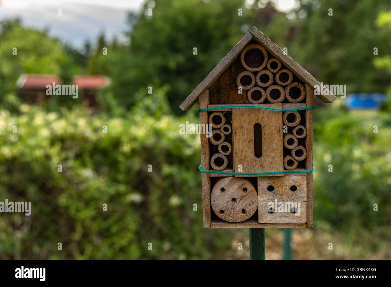 Tree Insect House Wooden house for insects in the garden, nature conservation insect ...