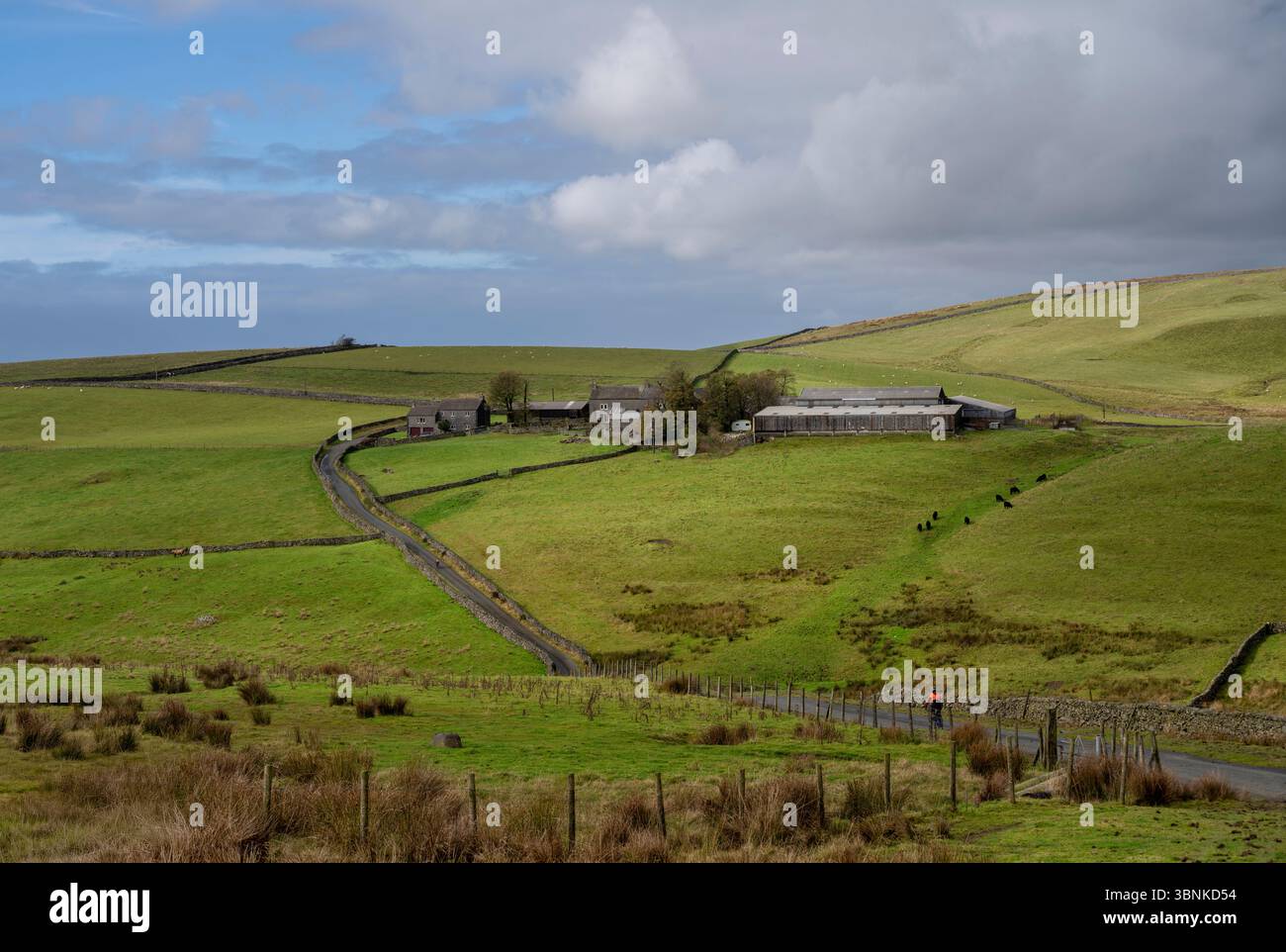 Female road cyclist on a rural road in the Yorkshire Dales national park. Stock Photo