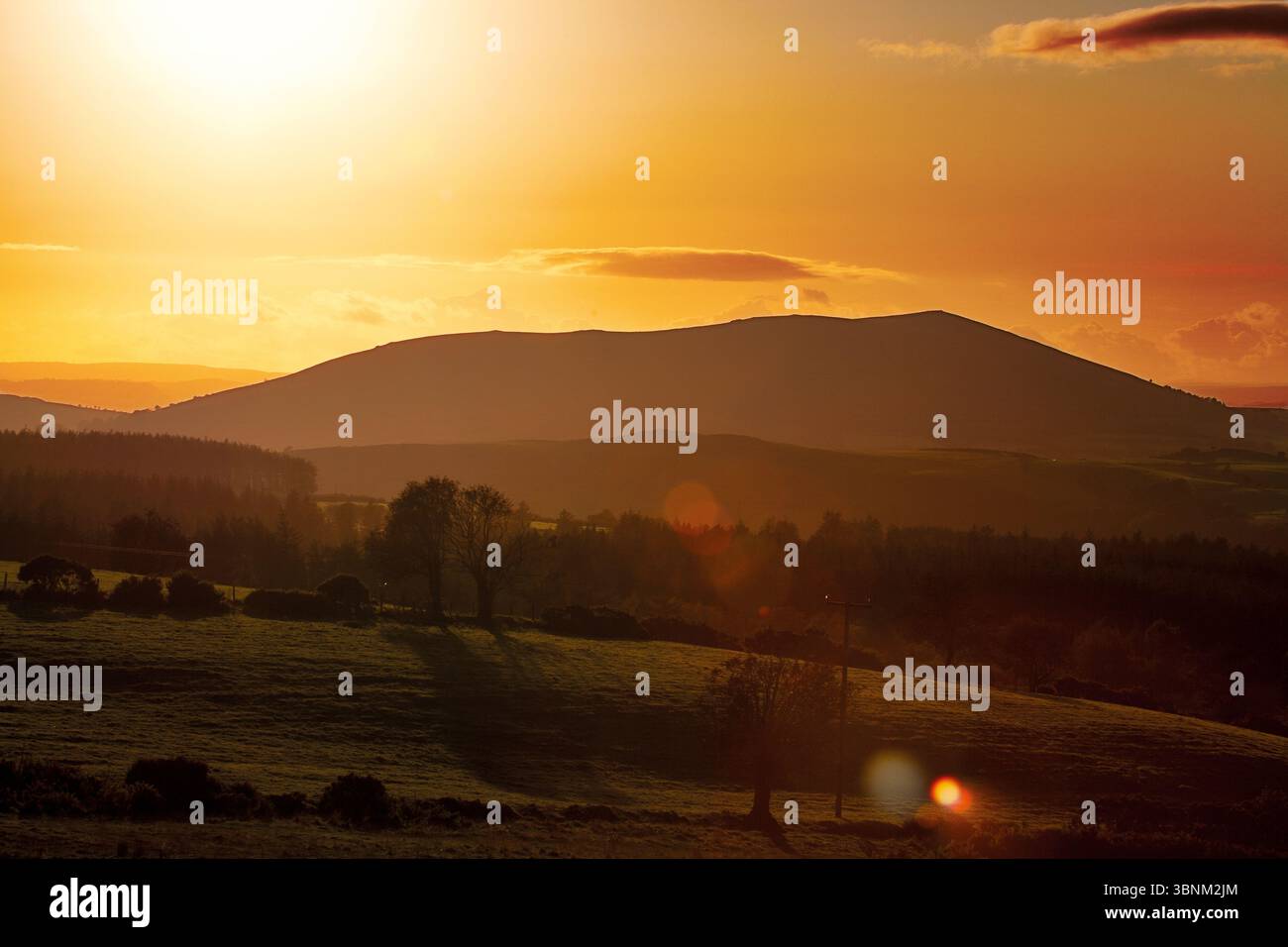 Suns golden glow hi-res stock photography and images - Alamy