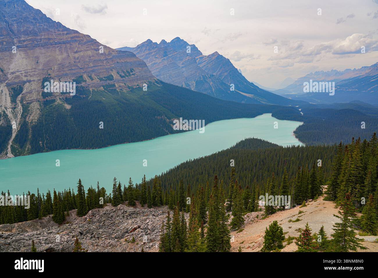 Peyto Lake as seen from the Bow Summit in Banff National Park, Canadian ...