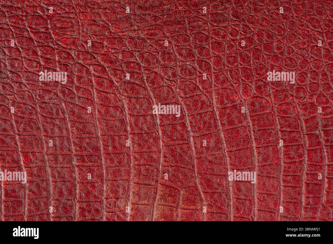 Crocodile red decorative leather texture macro close up view Stock Photo