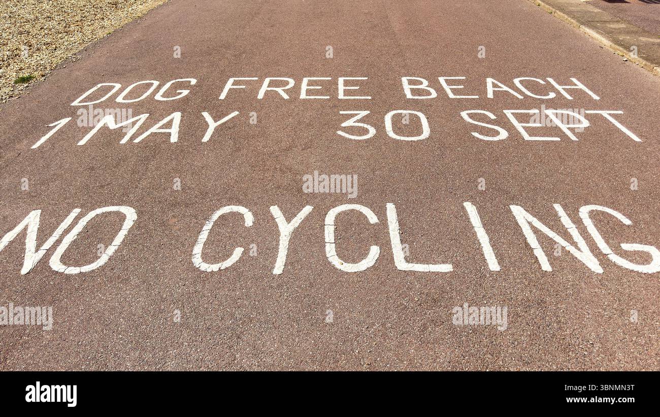 Sign painted on the walking path by a beach informing visitors of a ban on dogs on the beach for the spring and summer months. No people. - Smartphone Captured Stock Image
