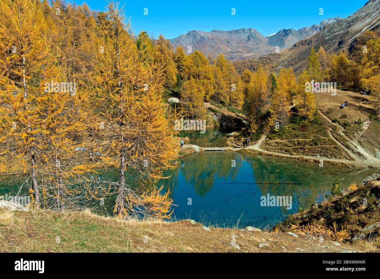 Autumn colors at the blue lake, Lac Bleu d'Arolla, Arolla, Val d'Herens, Ehringertal, Valais, Switzerland Stock Photo