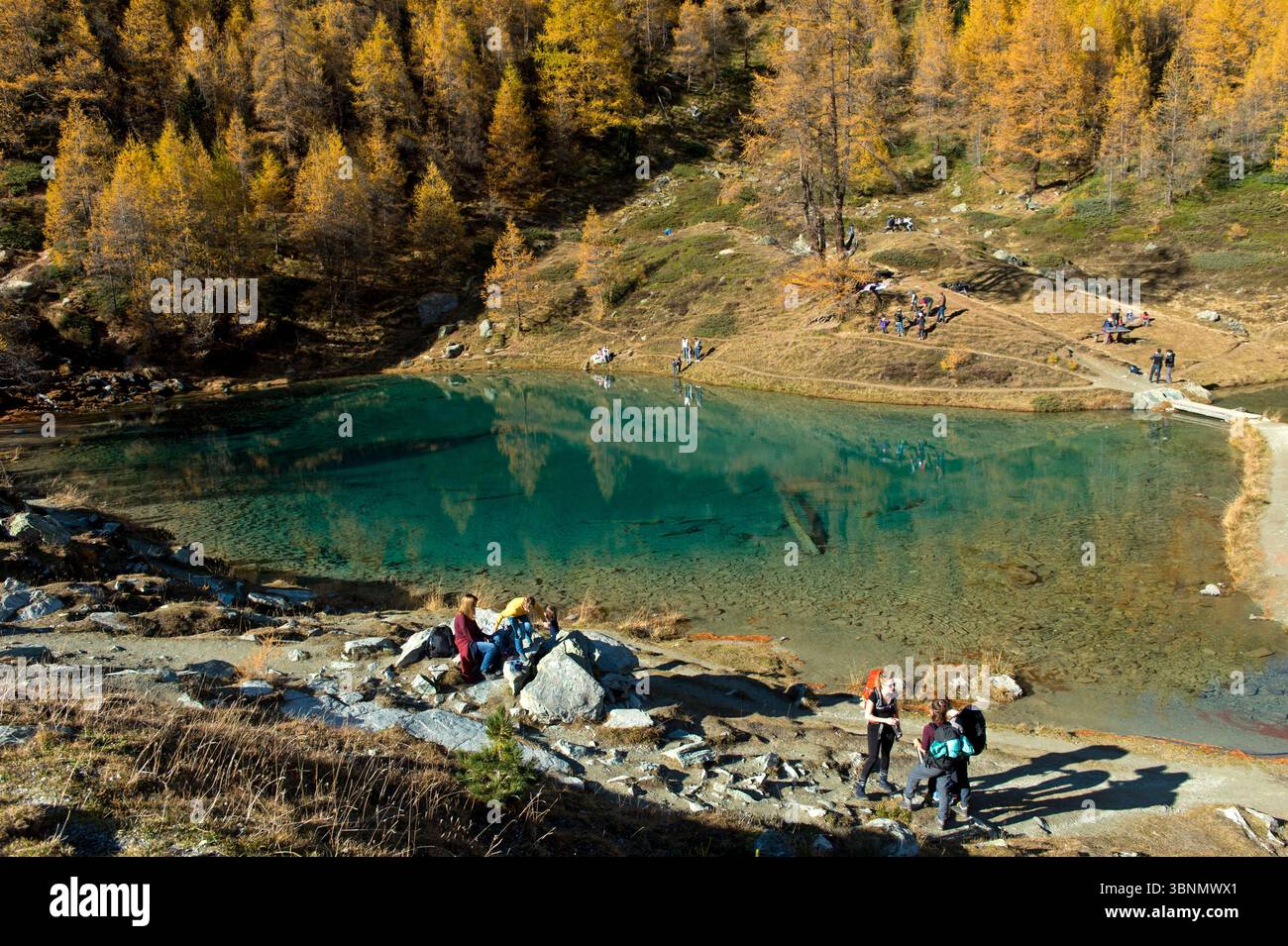 At the mountain lake Blausee, Lac Bleu, Arolla, Val d'Herens, Valais, Switzerland Stock Photo