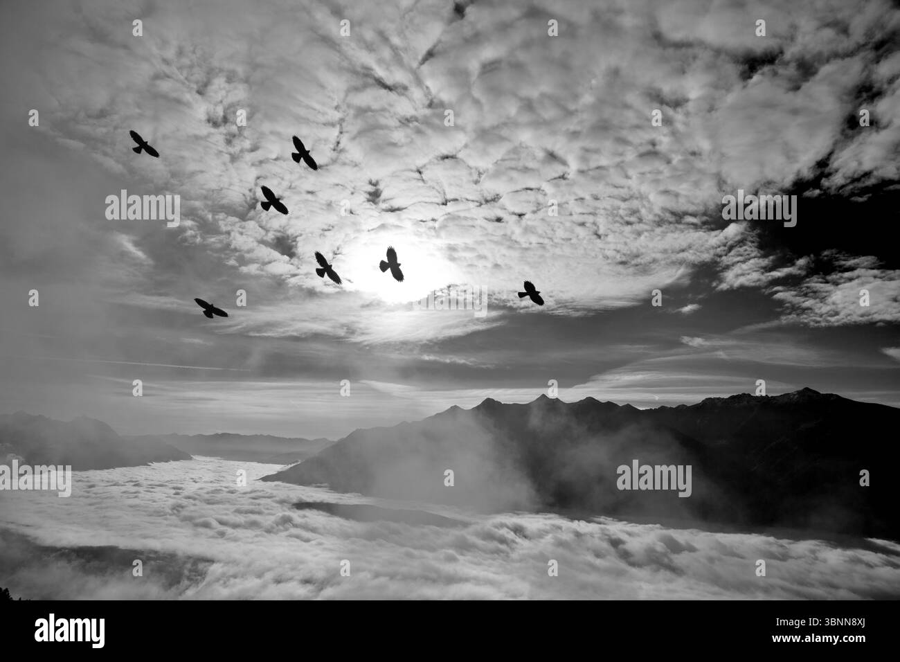 Inn valley Black and White Stock Photos & Images - Alamy