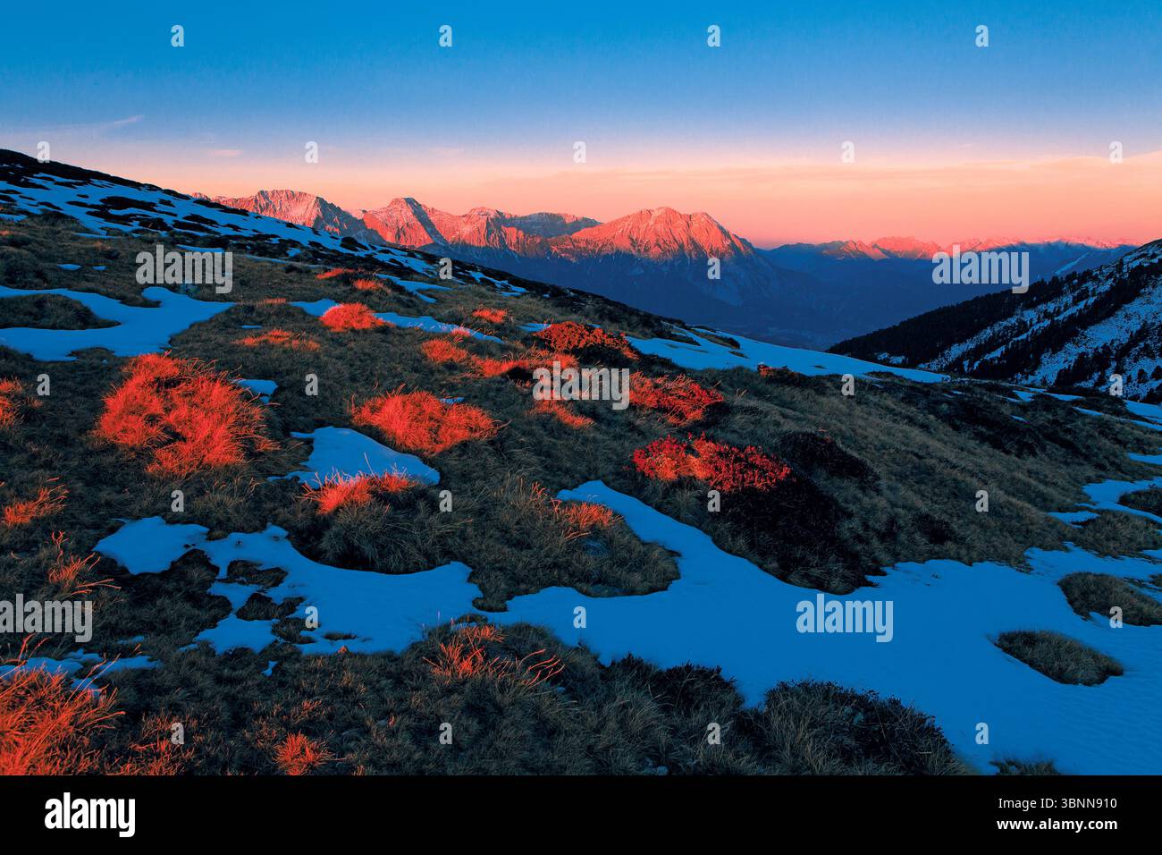 Evening atmosphere on the Feldringalm, towards Wetterstein, Tyrol Stock Photo