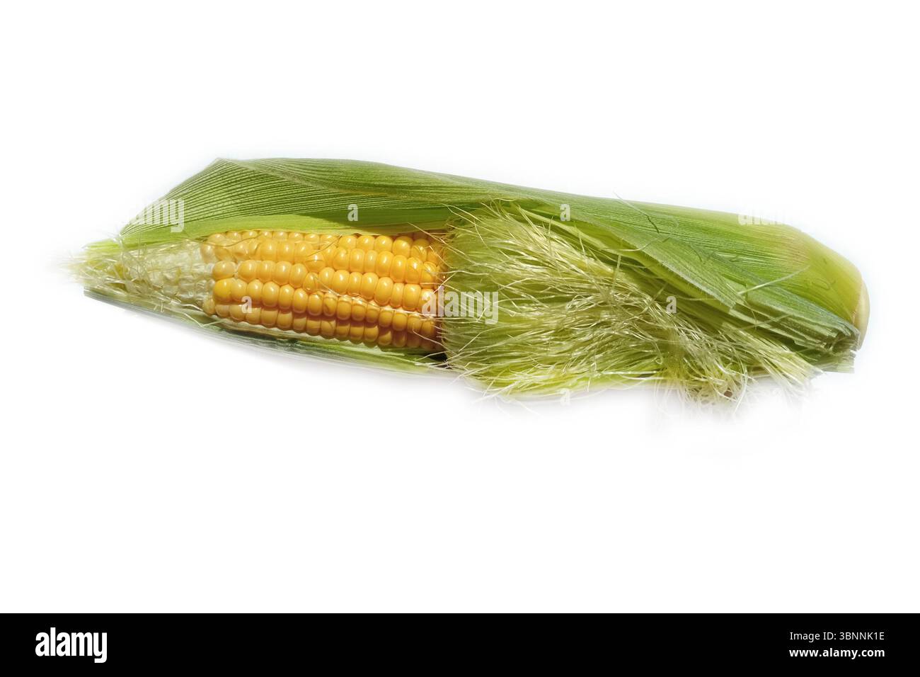 Single ear of corn isolated on white background. Stock Photo