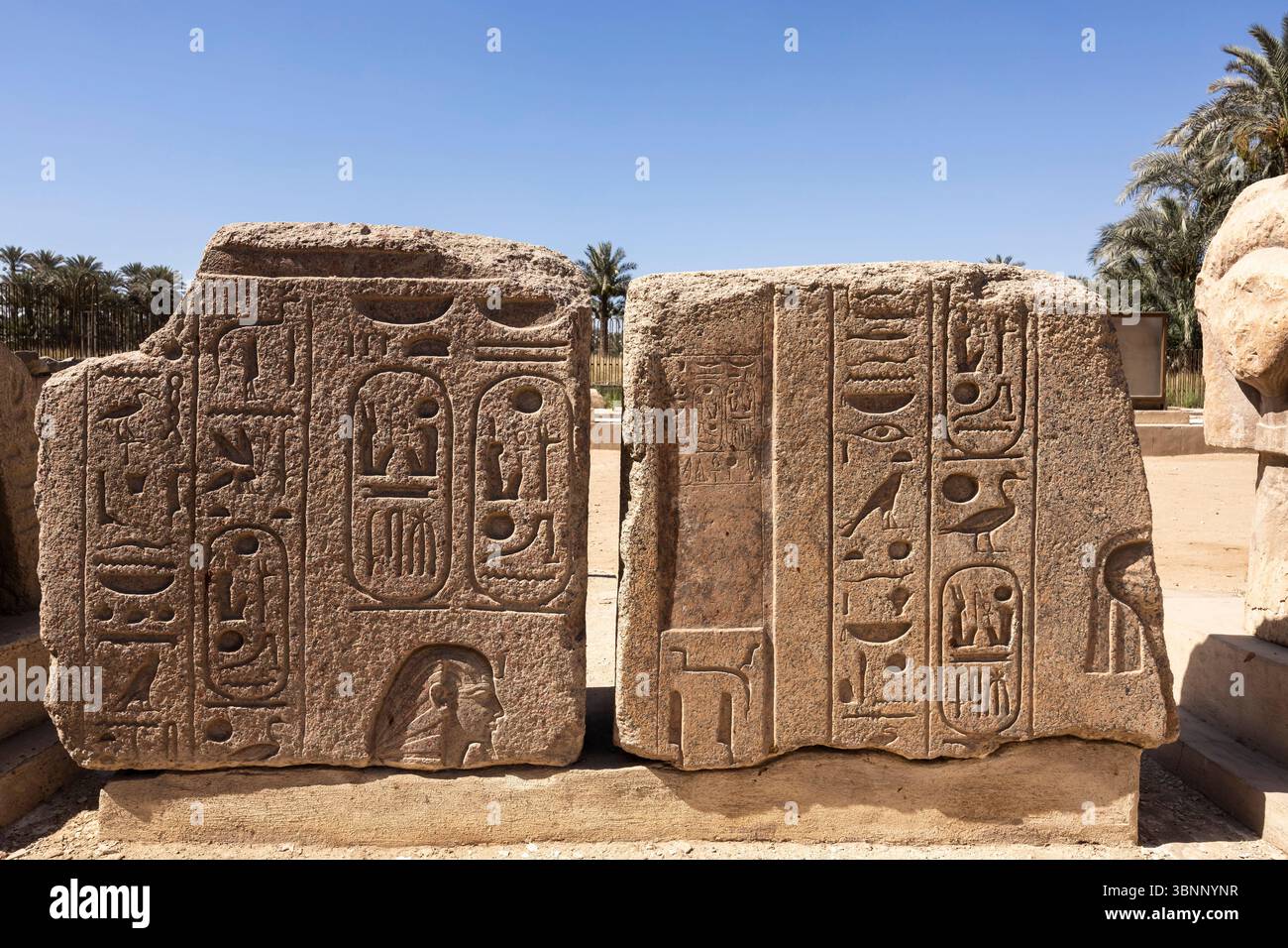 Memphis, stone block with ancient relief, Memphis open air museum ...