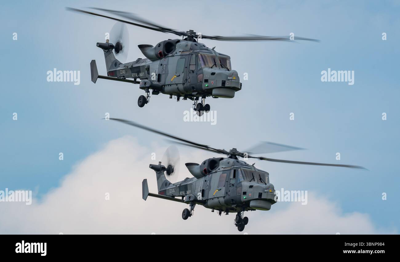 Royal Navy Black Cats display in AW159 Wildcat helicopters at the 2025 ...