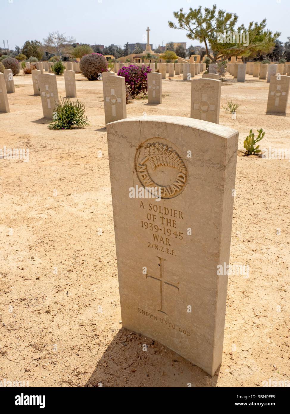 Grave of a New Zealand soldier in the The Cross of Sacrifice at the Commonwealth War Cemetery, El Alamein Stock Photo