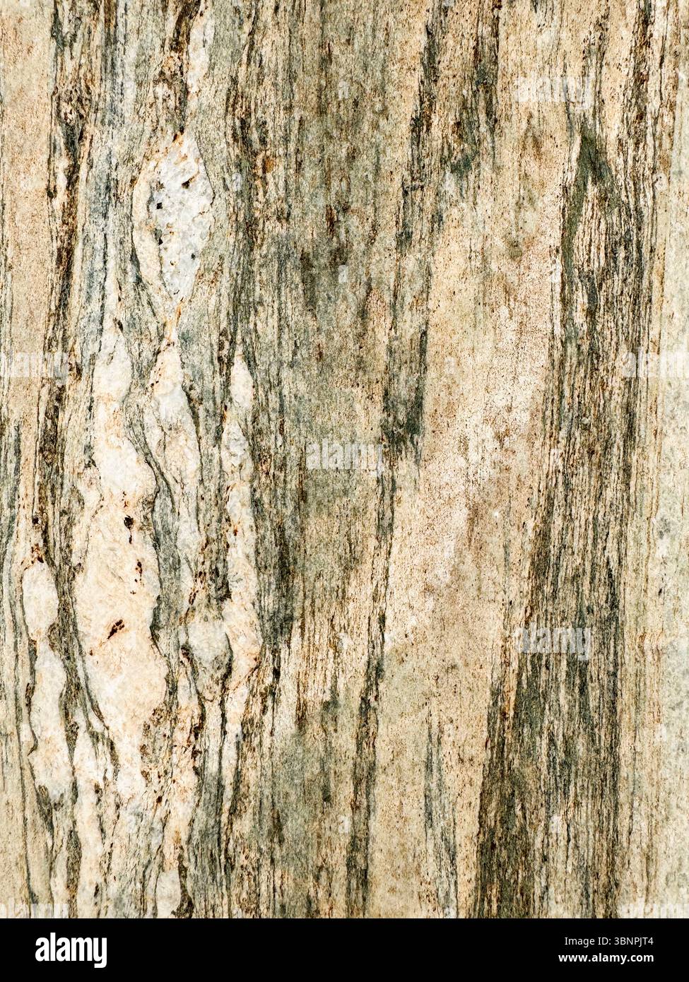 Stunning natural stone surface with distinctive patterns and textures ...