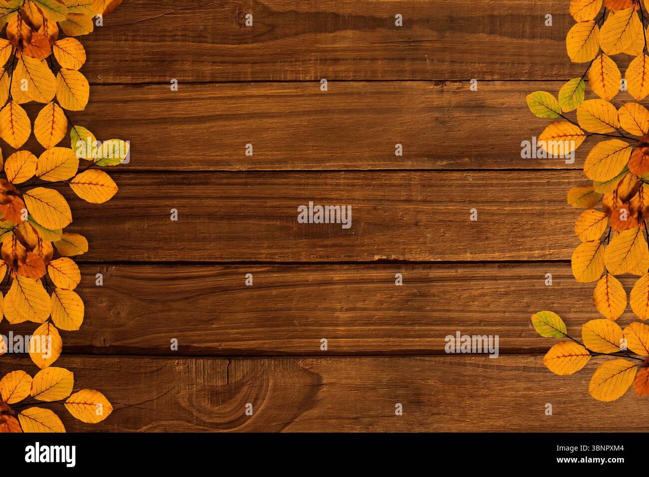 Showcasing rustic wooden plank surface with autumn leaf clusters ...