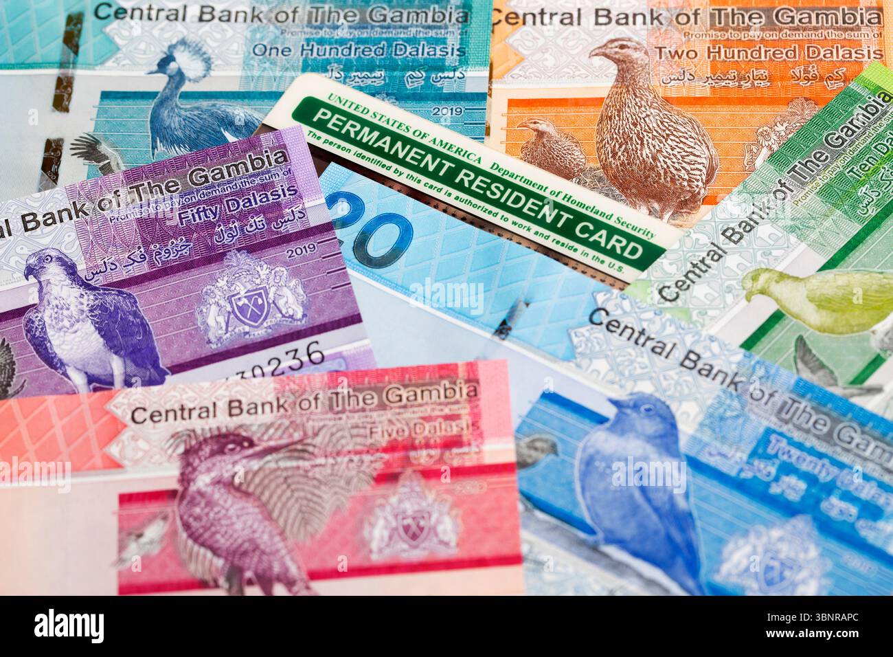 American permanent resident card on Gambian money - Dalasi Stock Photo