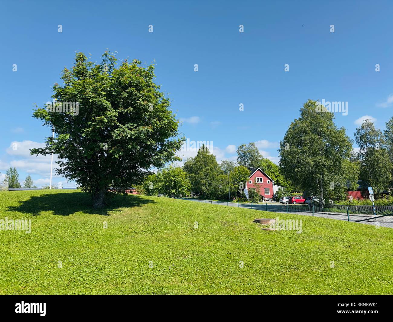 A beautiful summer day in the countryside with a vibrant green hill, tree, and a charming red house, Östersund, Sweden Stock Photo