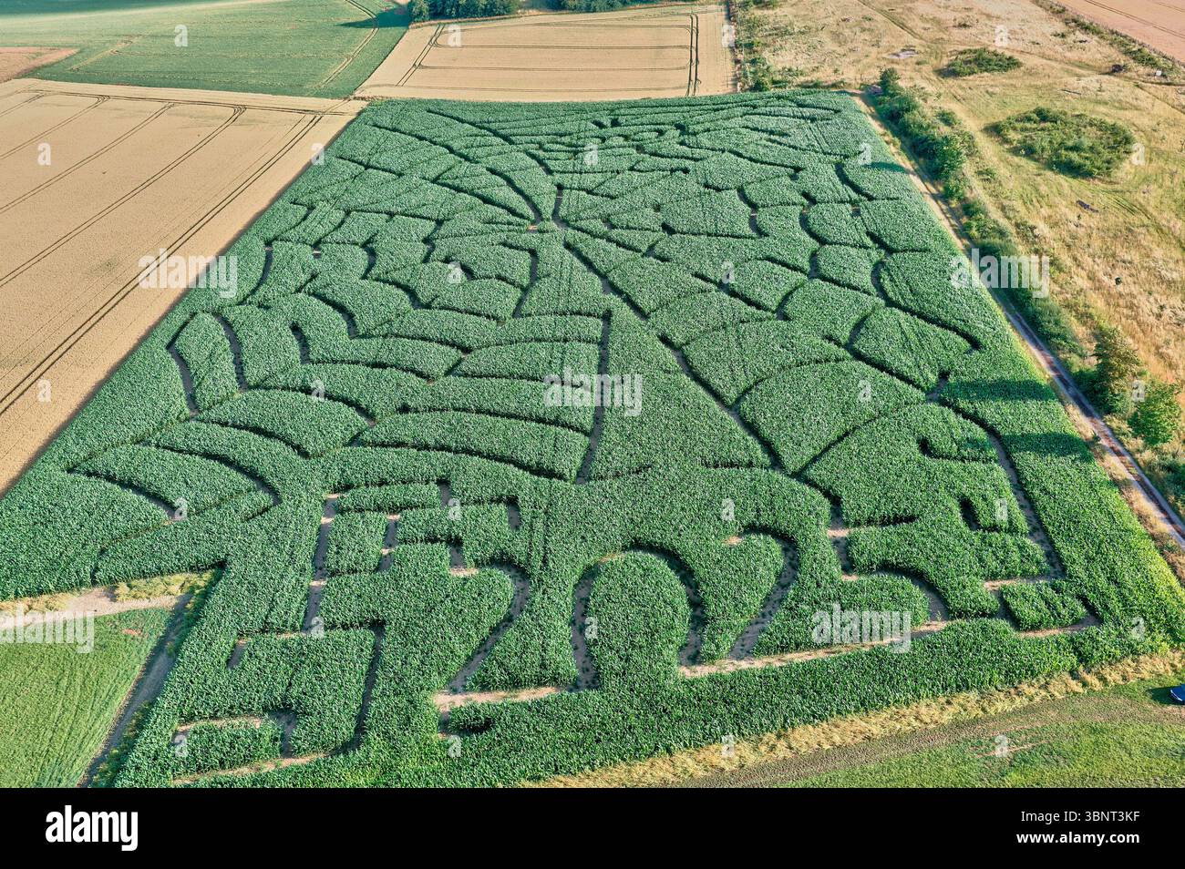 KING OF THE RING 2024 @thorbaadsgaard mødte i sin semifinale kamp, Mohammed  Khalaf, NBK Akilles i en spændende kamp, hvor Thor kom afventende ud i 1.  omgang, hvilket gav den svenske modstander, image size:1300x954