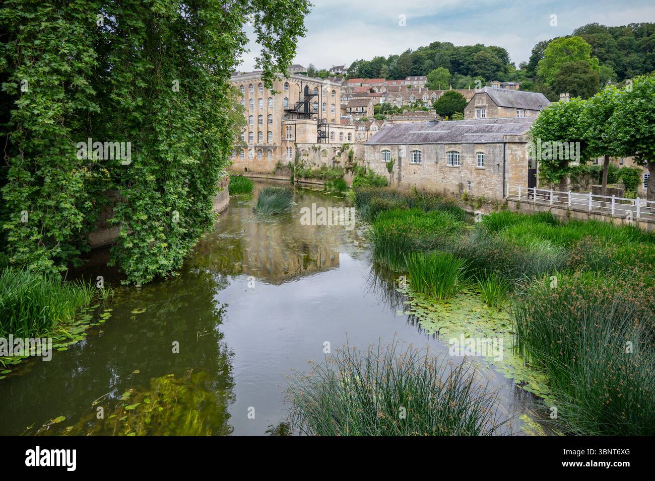 River Avon from the Town Bridge, Bradford on Avon, Somerset, England Stock Photo