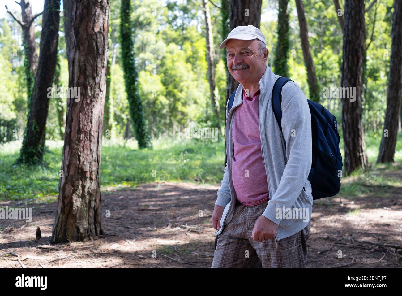 Elderly Man Walking Through the Forest During Vacation Stock Photo - Alamy