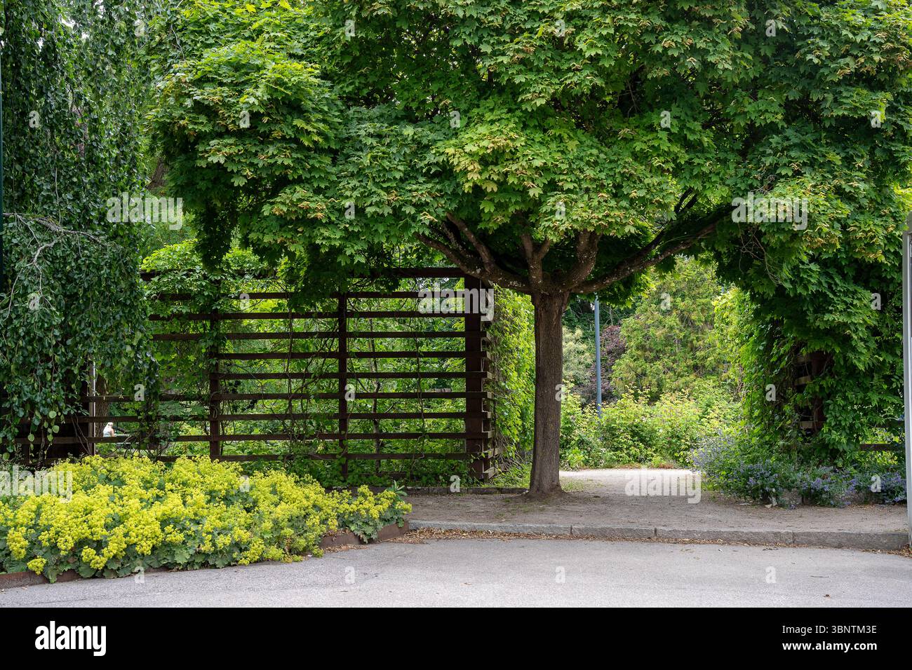 Summer n the iconic park Tradgardsforeningen on in Linkoping. This is a ...