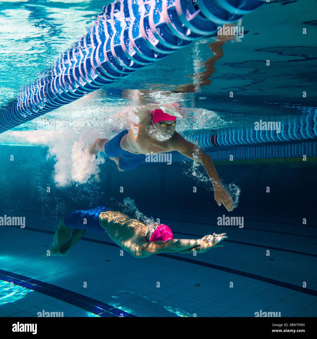 Swimmers racing in pool focus hi-res stock photography and images - Alamy