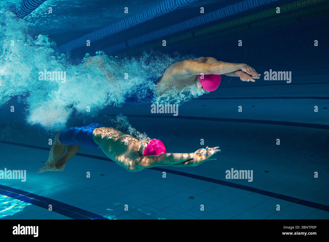 Underwater swimmers racing hi-res stock photography and images - Alamy