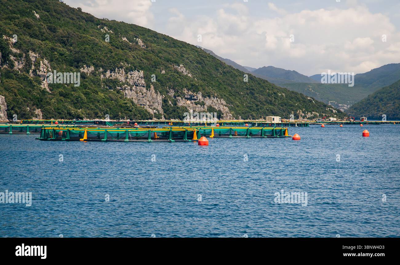 Aquaculture fish farm in natural mountainous setting. Sustainable ...