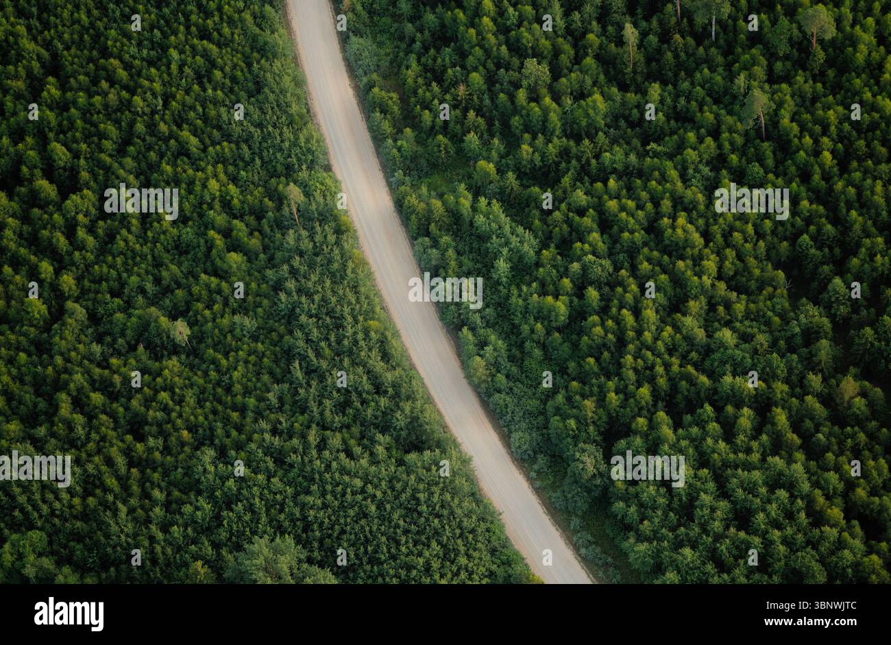 Aerial view of dirt road cutting through lush green forest in Latvia ...