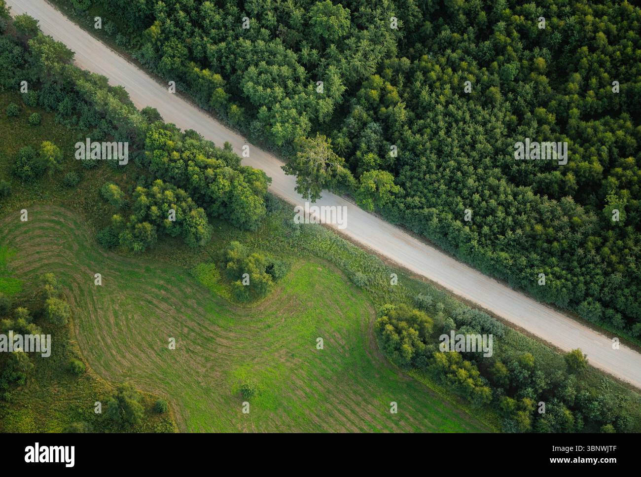 Aerial view of dirt road cutting through lush green forest in Latvia ...