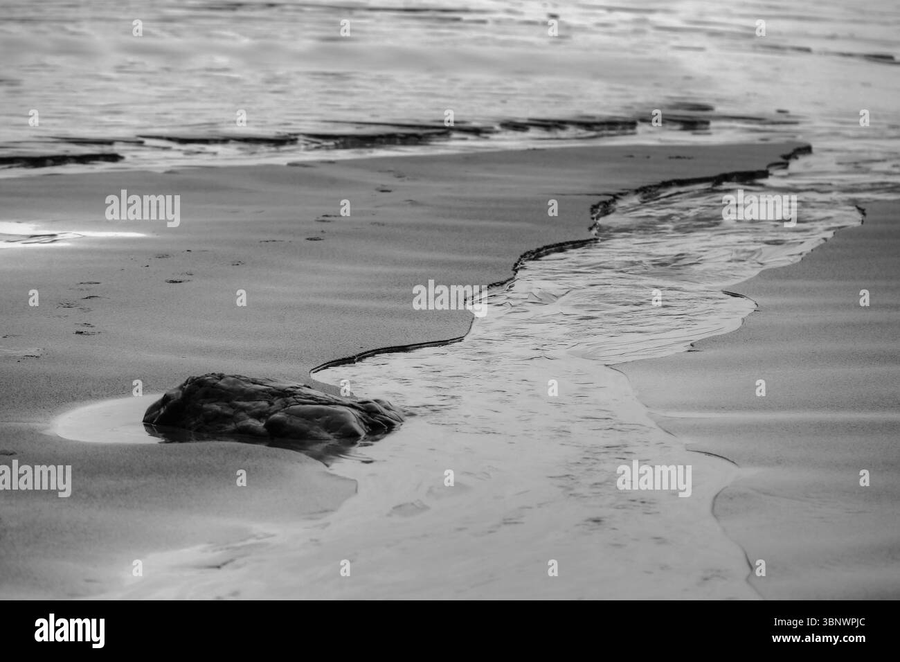 Scenery along the Tofino shoreline on the west coast of Vancouver Island during storm season Stock Photo
