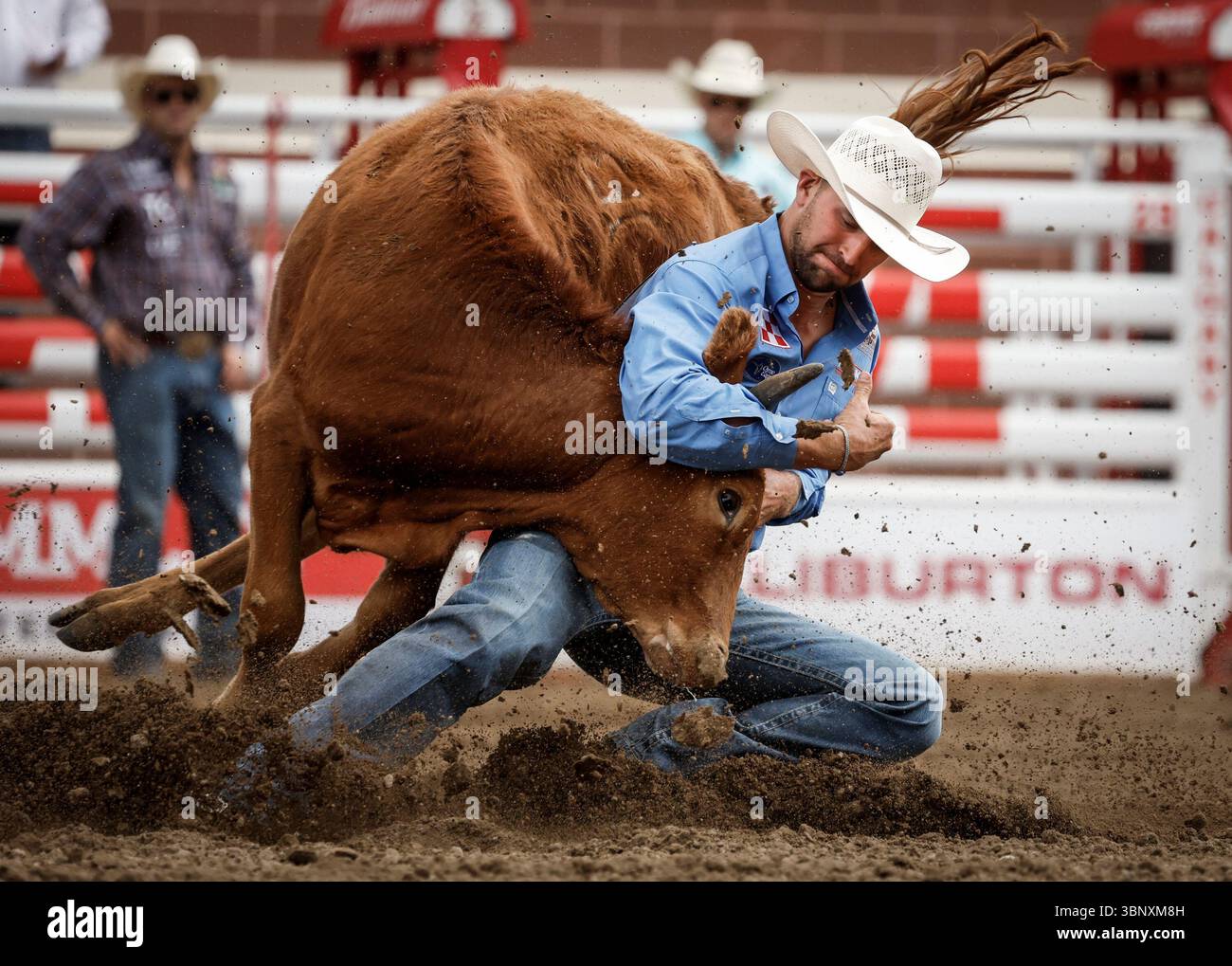 Justin Miller Rodeo Justin Shaffer, of Hico, Texas, competes during steer wrestling rodeo ...
