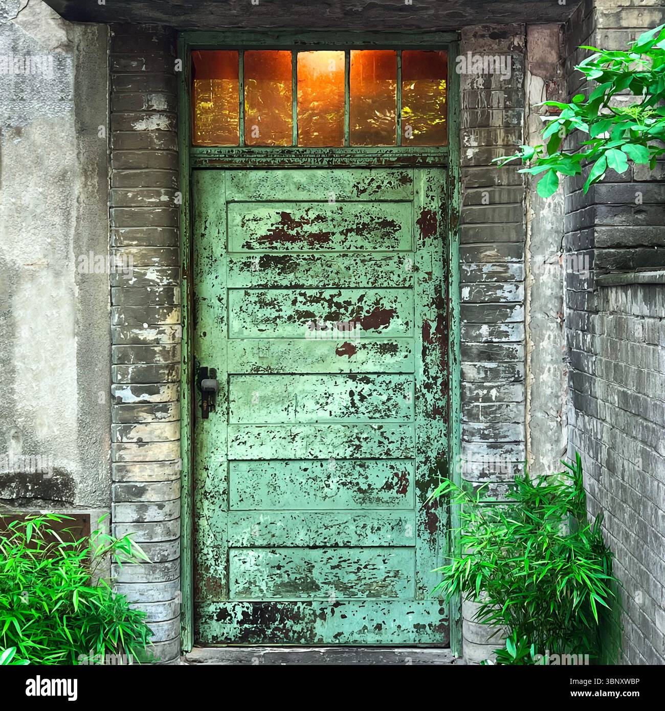 A weathered green door from 1920s Warsaw, framed by aged brick and amber glass, stands nestled in greenery—where decay and beauty quietly coexist. - Smartphone Captured Stock Image