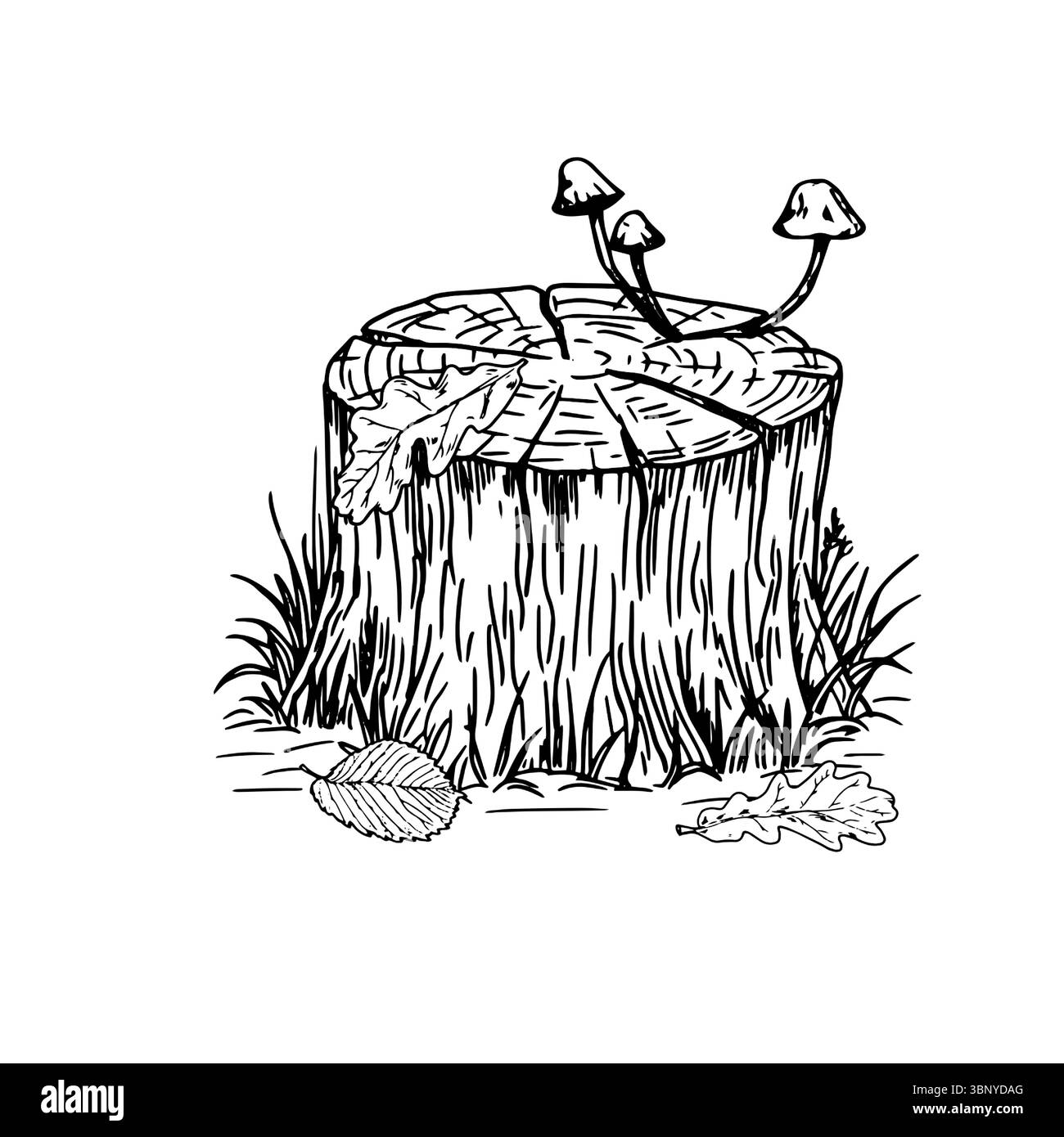 Tree stump in the grass, foliage and toadstool mushrooms, black and white sketch. Vector illustration. Autumn-summer composition, isolated on a white Stock Vector