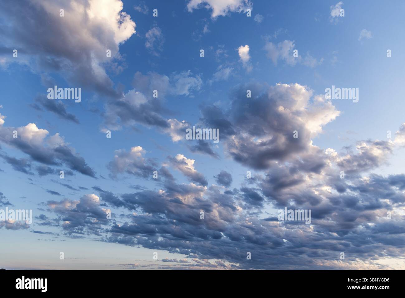 Beautiful white puffy clouds against blue sky during dramatic sunset Stock Photo